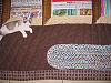 Click image for larger version

Name:	Chris's bookcase quilt 009.jpg
Views:	8745
Size:	1.15 MB
ID:	296979