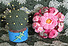 Click image for larger version

Name:	PinCushions2.jpg
Views:	121
Size:	130.9 KB
ID:	330782