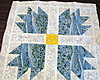 Click image for larger version

Name:	Alaska Forget-me-not boom water 7 from dungeonquilter.jpg
Views:	501
Size:	663.2 KB
ID:	340705