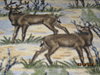 Click image for larger version

Name:	Deer on Pillow Case back.jpg
Views:	2687
Size:	85.2 KB
ID:	342551