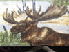 Click image for larger version

Name:	Moose on fleece.jpg
Views:	2677
Size:	111.7 KB
ID:	342552