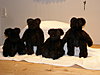 Click image for larger version

Name:	teddy bears1.jpg
Views:	5126
Size:	1.14 MB
ID:	361673