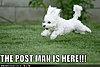 Click image for larger version

Name:	Postie.jpg
Views:	136
Size:	55.4 KB
ID:	363364