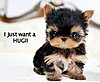 Click image for larger version

Name:	want a hug.jpg
Views:	3429
Size:	16.2 KB
ID:	368297