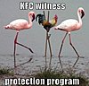 Click image for larger version

Name:	kfc witness protection (192x184).jpg
Views:	3711
Size:	40.8 KB
ID:	370875