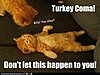 Click image for larger version

Name:	turkey coma.jpg
Views:	4441
Size:	31.5 KB
ID:	378178
