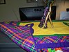 Click image for larger version

Name:	Mardi Gras Table Runner Back for office_2013.jpg
Views:	3367
Size:	682.2 KB
ID:	390174