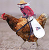 Click image for larger version

Name:	Monkey-Cowboy-Riding-Chicken-55675.jpg
Views:	248
Size:	66.7 KB
ID:	392576