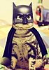Click image for larger version

Name:	bat cat.jpg
Views:	156
Size:	25.3 KB
ID:	393002