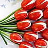 Click image for larger version

Name:	cream cheese stuffed tomatos on green onion stems.jpg
Views:	2776
Size:	59.1 KB
ID:	407487