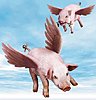 Click image for larger version

Name:	425AirportFlyingPigs.jpg
Views:	678
Size:	83.6 KB
ID:	411579