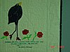 Click image for larger version

Name:	finished crow wall hanging 017.JPG
Views:	678
Size:	133.8 KB
ID:	411685