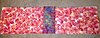 Click image for larger version

Name:	Table Runner Swap Backing.JPG
Views:	193
Size:	55.2 KB
ID:	413993