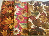 Click image for larger version

Name:	quilting 2013 part 2 010.jpg
Views:	135
Size:	97.9 KB
ID:	432169