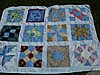 Click image for larger version

Name:	Comfort Quilt #4.jpg
Views:	640
Size:	148.9 KB
ID:	441908