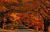 Click image for larger version

Name:	Vermont_Fall.jpg   FALL   FALL   FALL.jpg
Views:	520
Size:	316.4 KB
ID:	444665