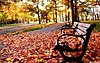Click image for larger version

Name:	autumn-leaves-fall-wallpaper.jpg FALLLLLLLLLLLLLLLLLLLLLLLLLLLLLLLLLLLLLLLLLLLLLLLLLLLLLLLL.jpg
Views:	414
Size:	1.13 MB
ID:	444891