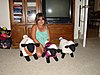 Click image for larger version

Name:	Kasey with Lambs.JPG
Views:	1148
Size:	131.3 KB
ID:	489833
