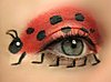 Click image for larger version

Name:	Ladybug Eye.jpg
Views:	87
Size:	33.4 KB
ID:	491750