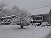 Click image for larger version

Name:	First snow of the season 2014 003.JPG
Views:	57
Size:	507.0 KB
ID:	500815