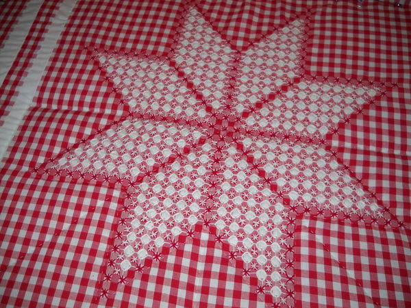Does any one do Chicken Scratch Here is some pictures of a quilt I am 