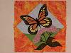 Click image for larger version

Name:	1st block of butterflies 005.JPG
Views:	2915
Size:	158.1 KB
ID:	329552