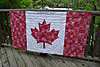 Click image for larger version

Name:	canada flag (1).jpg
Views:	1800
Size:	211.4 KB
ID:	340057