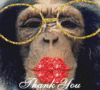 Click image for larger version

Name:	CHIMP THANK YOU KISS.gif
Views:	7562
Size:	68.4 KB
ID:	348260