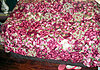 Click image for larger version

Name:	Rose Scrap Quilt 1.jpg
Views:	1853
Size:	137.9 KB
ID:	355353