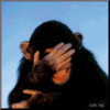 Click image for larger version

Name:	laughing monkey.gif
Views:	5142
Size:	34.0 KB
ID:	358669
