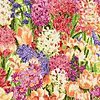 Click image for larger version

Name:	spring spec-mix bouquet.jpg
Views:	434
Size:	10.8 KB
ID:	358960