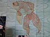 Click image for larger version

Name:	Koi Quilting Detail.jpeg
Views:	1869
Size:	123.7 KB
ID:	366243