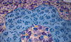 Click image for larger version

Name:	Hand quilted GFG Flower.jpg
Views:	917
Size:	58.9 KB
ID:	376176