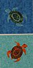 Click image for larger version

Name:	Sea Turtles for Anna.jpg
Views:	601
Size:	135.0 KB
ID:	383191