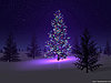 Click image for larger version

Name:	beautiful-christmas-tree.jpg
Views:	124
Size:	206.7 KB
ID:	383920