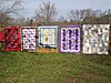 Click image for larger version

Name:	quilts on a line (Small).jpg
Views:	6
Size:	73.8 KB
ID:	405474