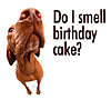 Click image for larger version

Name:	1262607263438-dog_birthday_cake_50.jpg
Views:	3332
Size:	49.3 KB
ID:	413140