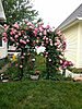 Click image for larger version

Name:	rose arbor.jpg
Views:	4267
Size:	7.6 KB
ID:	418171
