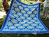 Click image for larger version

Name:	Missouri Star trip, quilts vintage and Annie's 051.JPG
Views:	9653
Size:	219.2 KB
ID:	429872