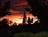 Click image for larger version

Name:	Sunset off my porch.JPG
Views:	2364
Size:	73.0 KB
ID:	446696