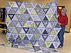 Click image for larger version

Name:	triangle quilt.jpg
Views:	2750
Size:	24.2 KB
ID:	464750
