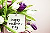 Click image for larger version

Name:	mothers-day.jpg
Views:	101
Size:	814.9 KB
ID:	469371