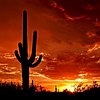 Click image for larger version

Name:	Phoenix Sunset - resize.jpg
Views:	344
Size:	17.4 KB
ID:	485827