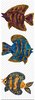 Click image for larger version

Name:	Other Fish in the Sea EQ5.BMP
Views:	2758
Size:	856.0 KB
ID:	497759