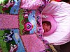 Click image for larger version

Name:	Cadi with her new quilt .jpg
Views:	3178
Size:	48.2 KB
ID:	549145