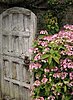 Click image for larger version

Name:	door opening with flowers..jpg
Views:	107
Size:	63.5 KB
ID:	571230