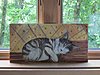 Click image for larger version

Name:	sleepycat.JPG
Views:	869
Size:	349.4 KB
ID:	574971