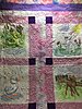 Click image for larger version

Name:	Amy and John - new baby girl quilt for Nov 2017.jpg
Views:	2682
Size:	180.5 KB
ID:	578953