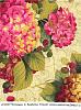 Click image for larger version

Name:	one block wonder LakeHouse Hydrangeas and Raspberries.jpg
Views:	45
Size:	1.39 MB
ID:	626184