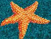 Click image for larger version

Name:	starfish with marker.jpg
Views:	213
Size:	253.7 KB
ID:	646031